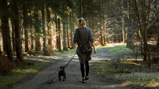 ¿Cuánto tiempo necesita pasear un perro?